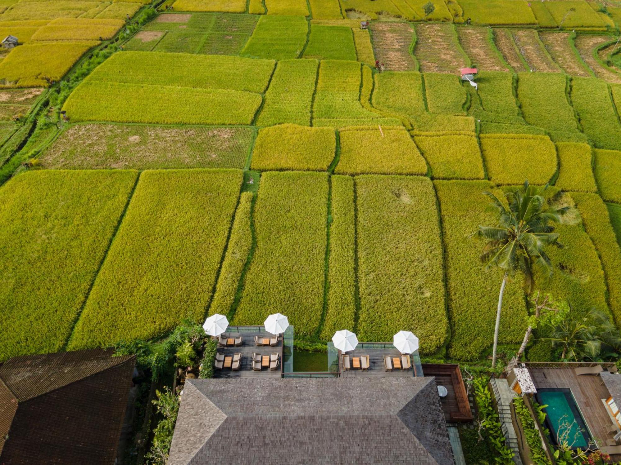 Kappa Senses Ubud Exteriör bild
