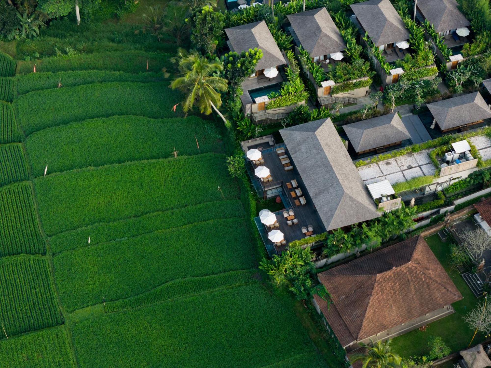 Kappa Senses Ubud Exteriör bild
