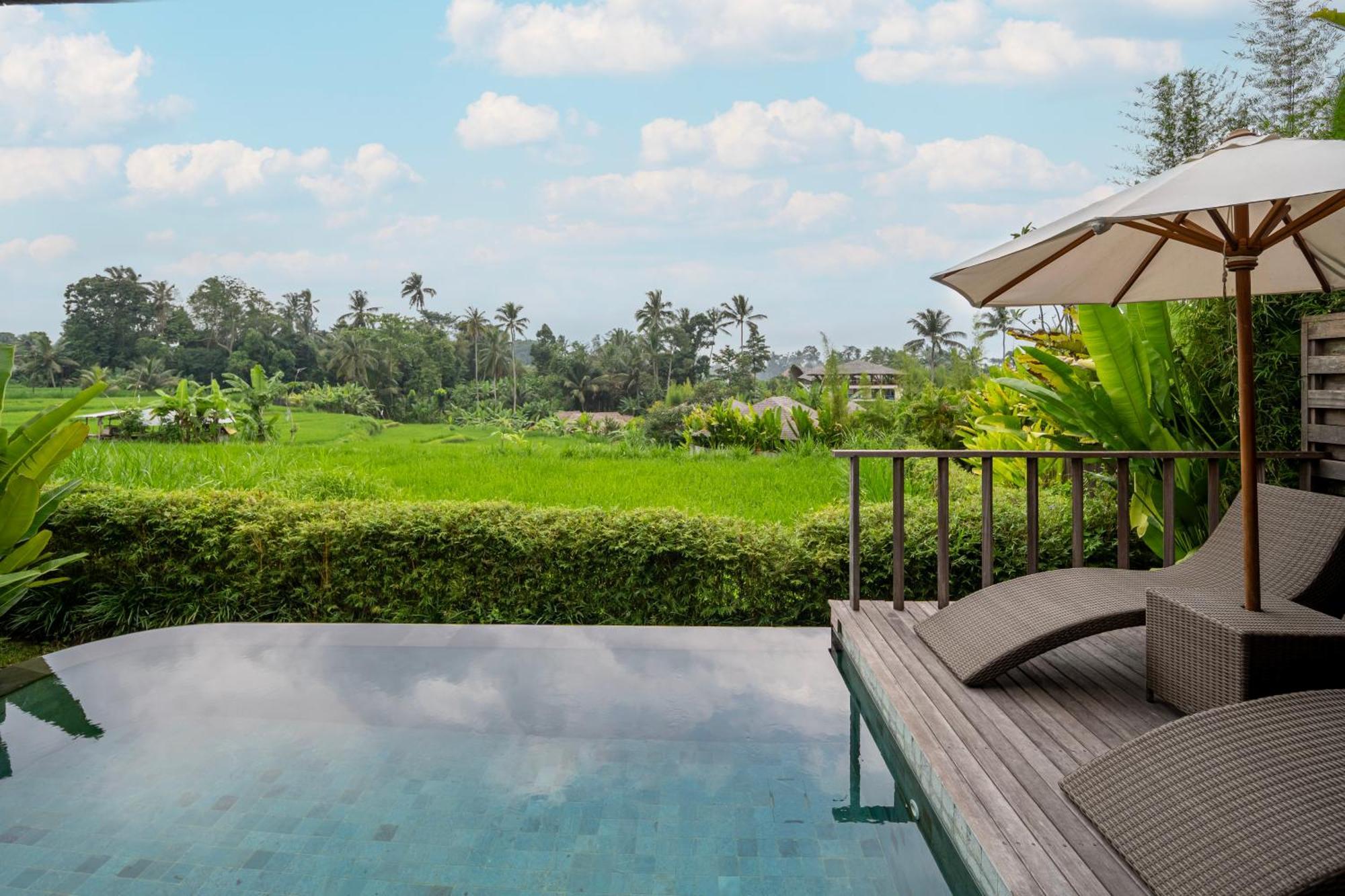 Kappa Senses Ubud Rum bild